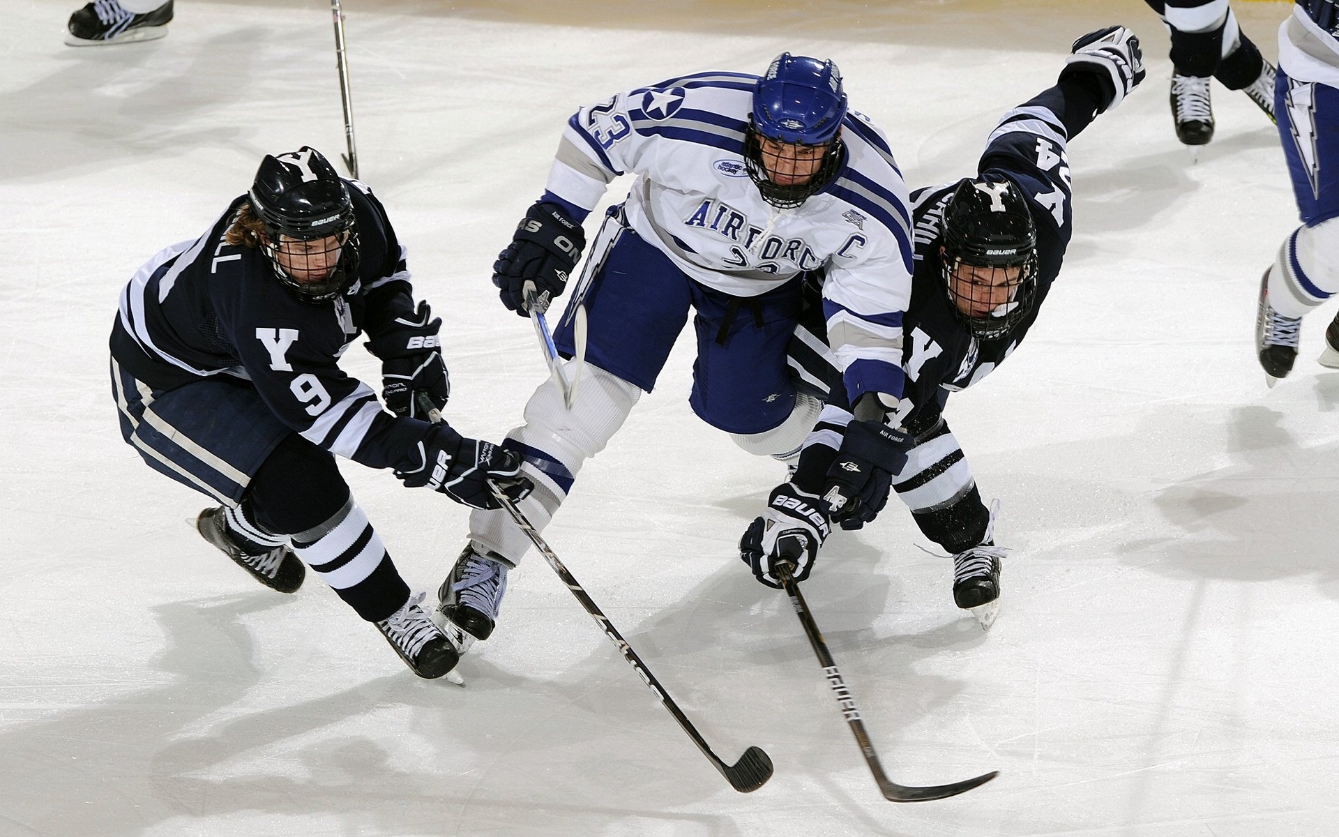 纽卡斯尔主场气势带动全队攻守平衡,纽卡斯尔联主场叫什么